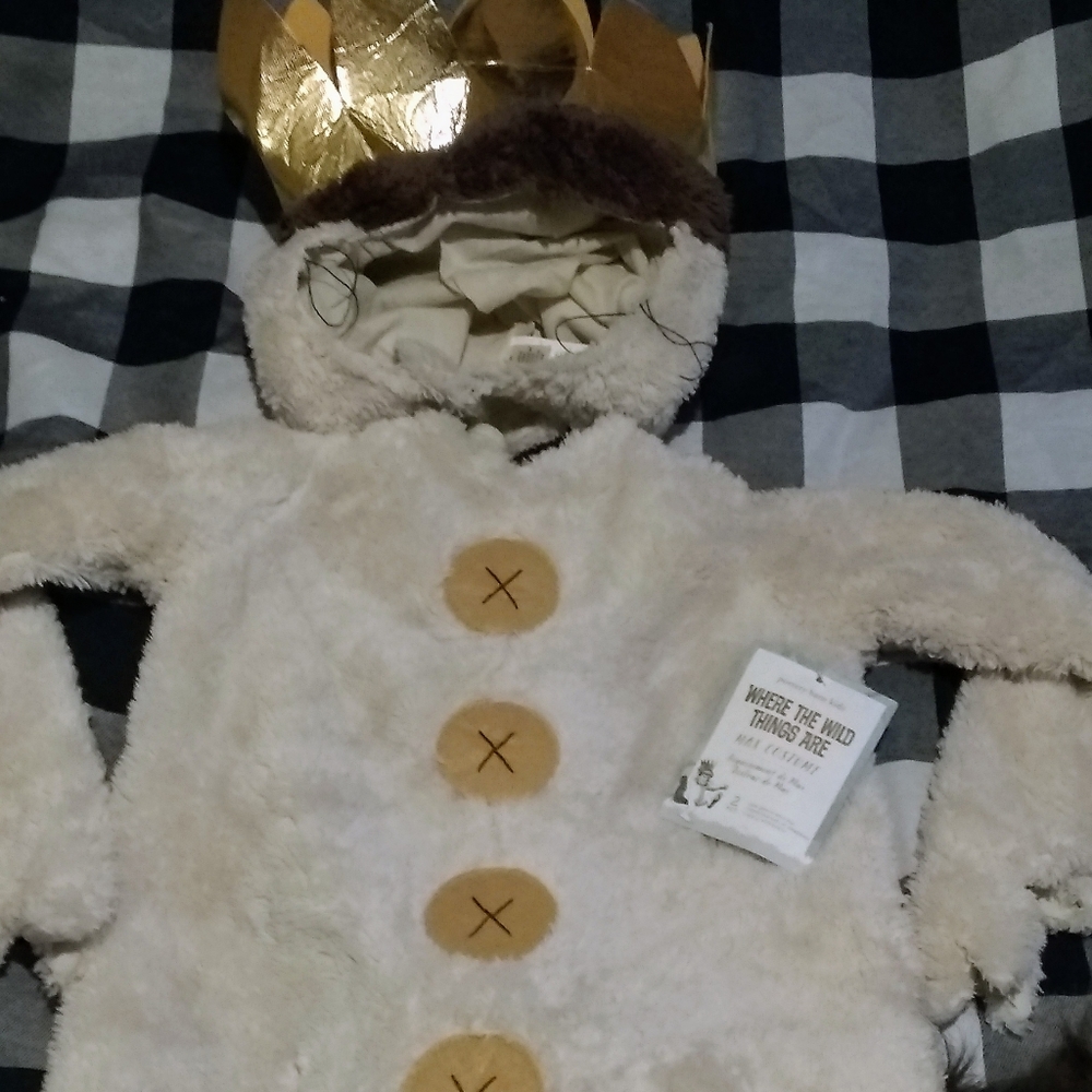 NWT pottery barn Max costume 2T wild thing…